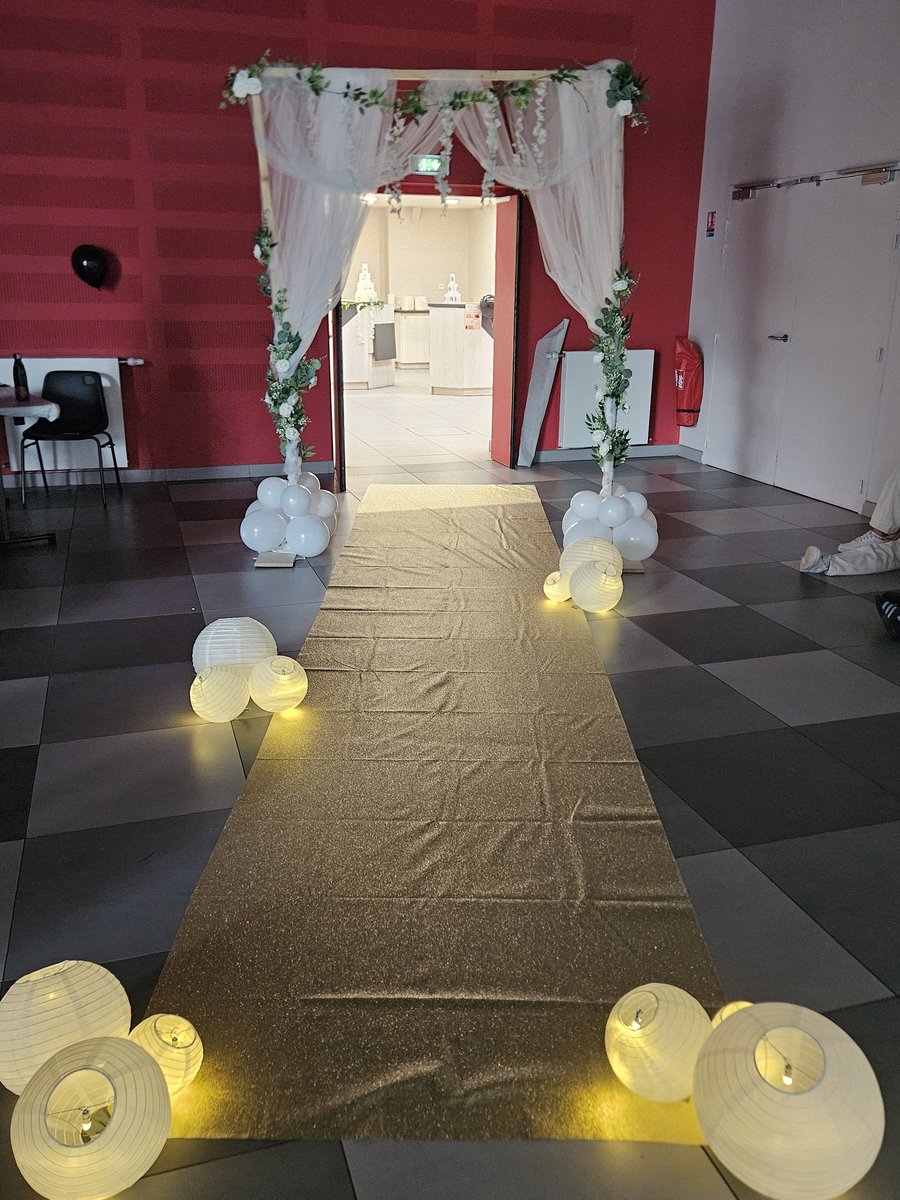 ChristVdbPro's tweet image. Bal des terminales du lycée Aragon Picasso ce soir Promo 2025 @academielyon