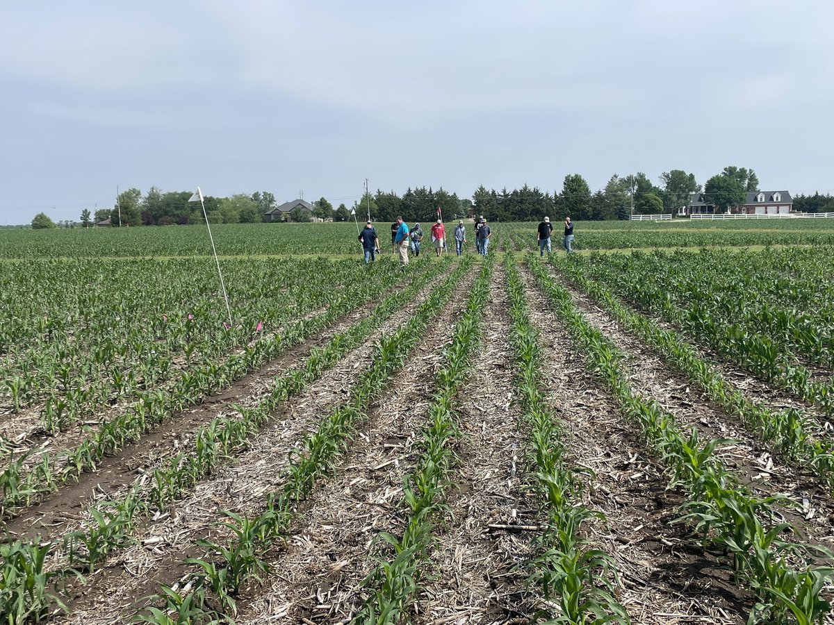 Channel Nebraska (@channel_ne) on Twitter photo SeedPro Agronomy Training in SE Nebraska this week! Learning about all things agronomy and the latest class of <a href="/ChannelSeed/">Channel Seed</a> Corn and Soybean Products! SeedPro Agronomy Training in SE Nebraska this week! Learning about all things agronomy and the latest class of <a href="/ChannelSeed/">Channel Seed</a> Corn and Soybean Products!