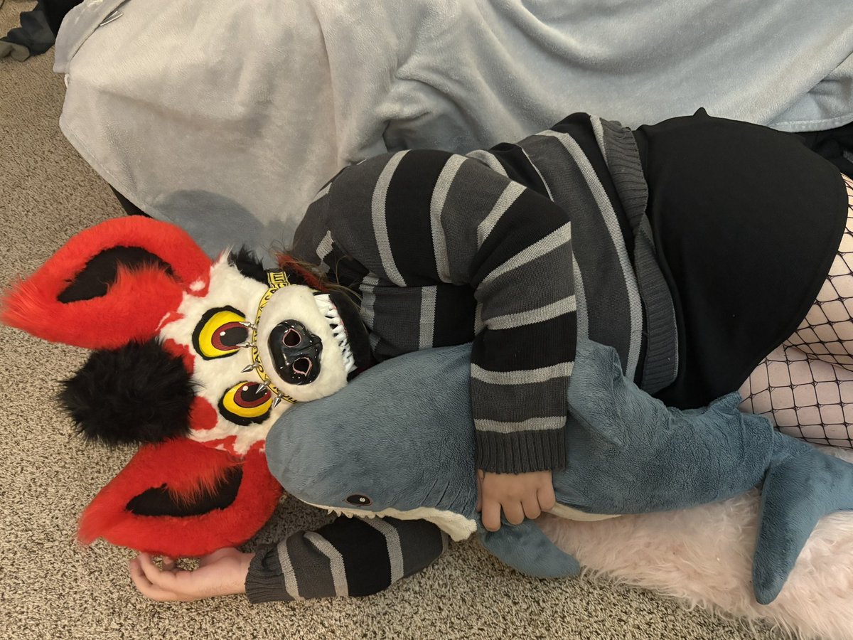 It’s fursuit Friday! 

#fursuit #fursuitfriday #furry