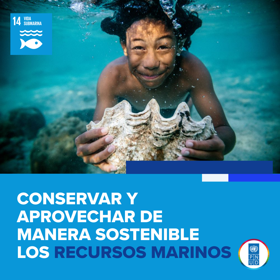 La próxima #UNOC3 tiene una meta clara: ampliar soluciones basadas en la naturaleza para proteger los océanos, donde hemos apoyado en gobernanza marina y economía azul sostenible. Súmate a nosotros y alza tu voz para #SalvarNuestroOcéano.
Más info en: go.undp.org/UmF