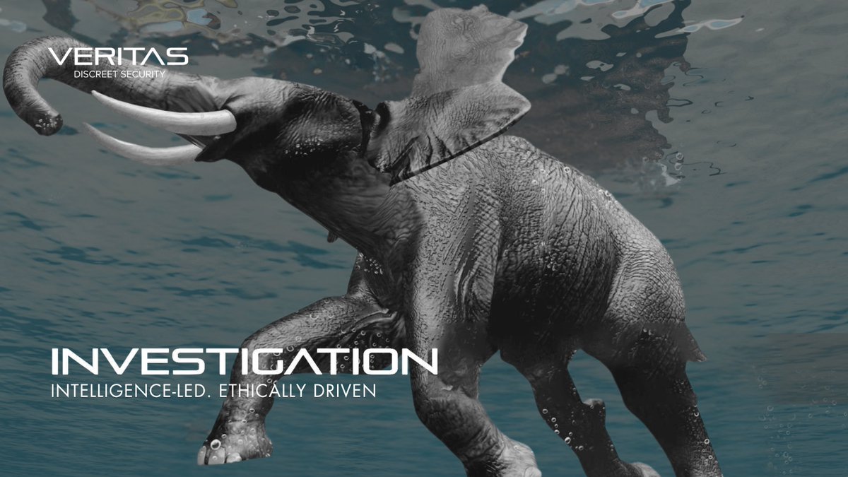 We don’t just investigate—we disrupt.
Veritas leads global efforts against illegal trafficking and organised crime, offering ethical, intelligence-led solutions to today’s complex threats.

📩 info@veritas-int.com
🔗 veritas-international.com

#Investigation #SecurityServices