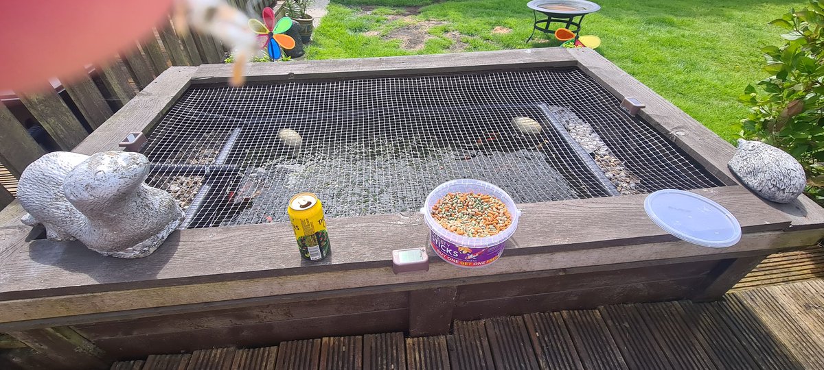 After a horrendous week at work it's time to feed the fishes with zoider to gulp.