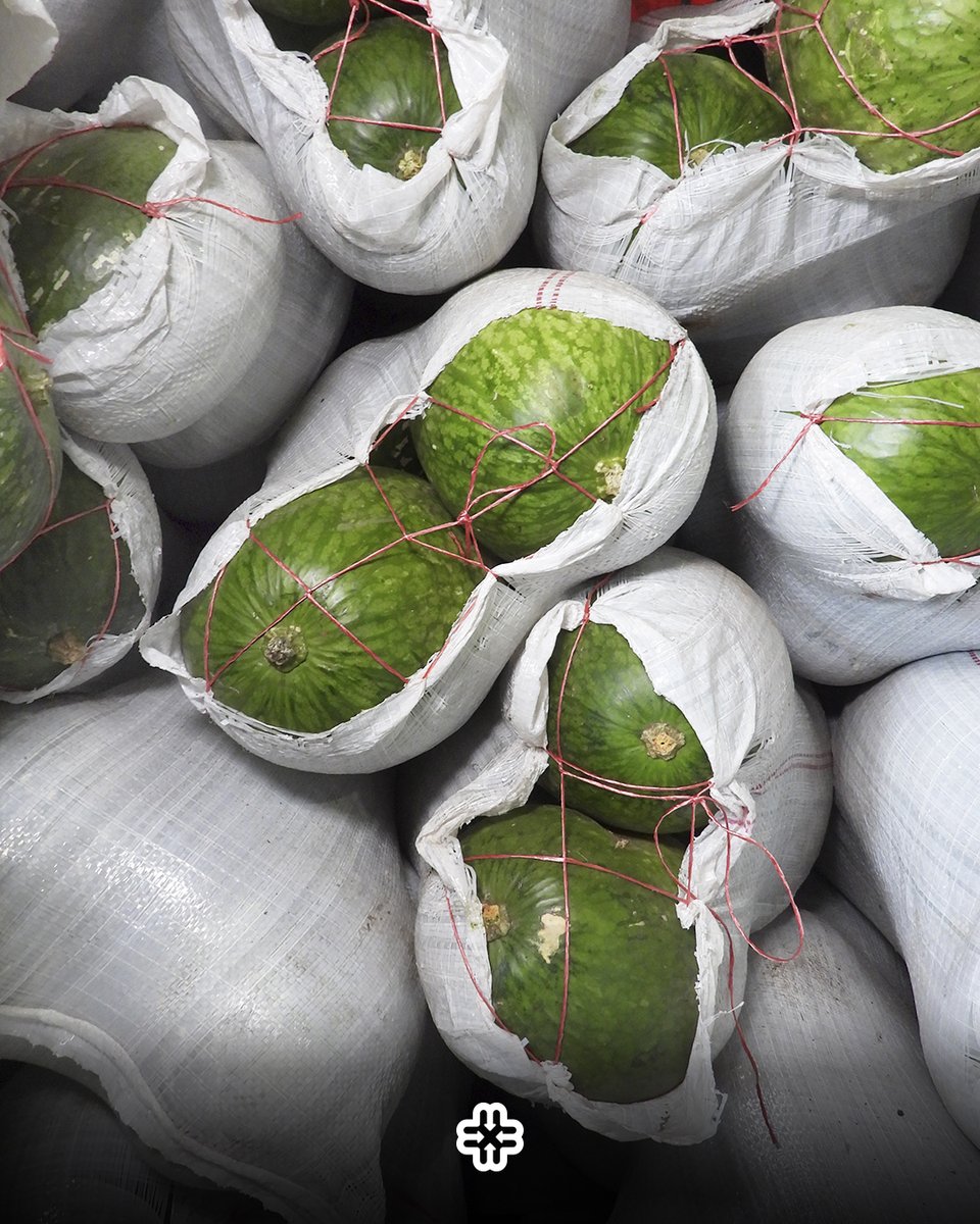 CAYOTE

También conocido como “alcayota” o “calabaza blanca”.

Posee una pulpa fibrosa, con semillas grandes y oscuras, y tiene un alto contenido de agua.

Se produce en nuestro país en Mendoza, Jujuy, San Juan y Salta y su mejor época es durante junio.