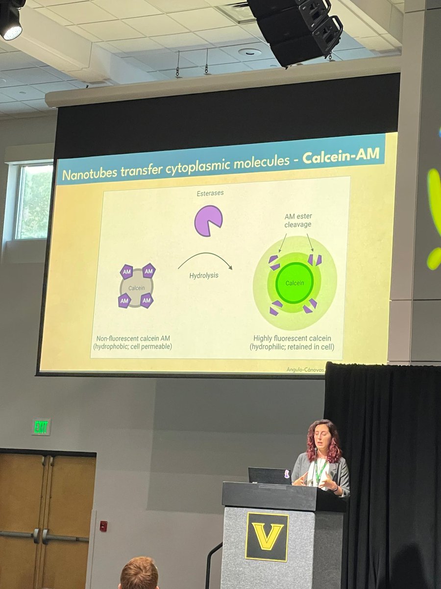 Elisa Angulo tweet media