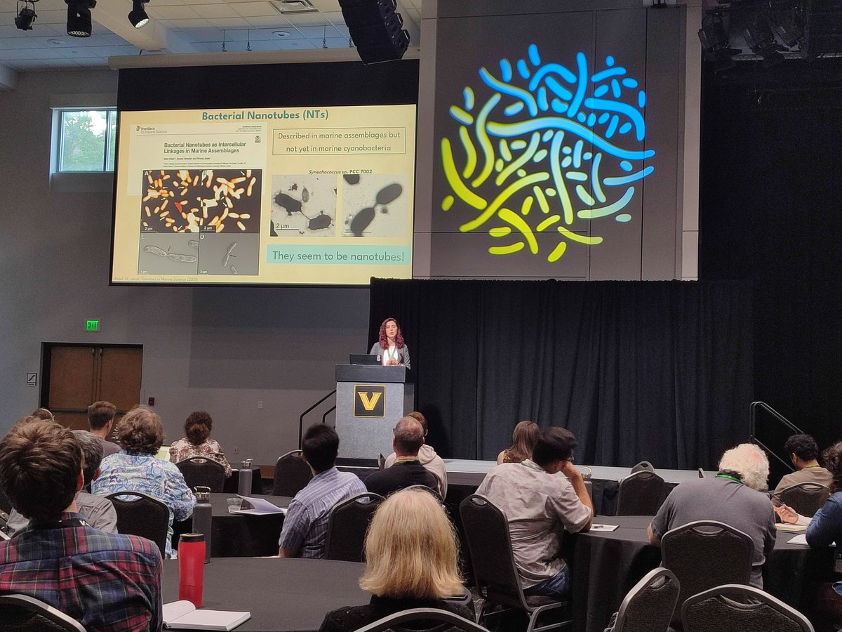 Elisa Angulo tweet media