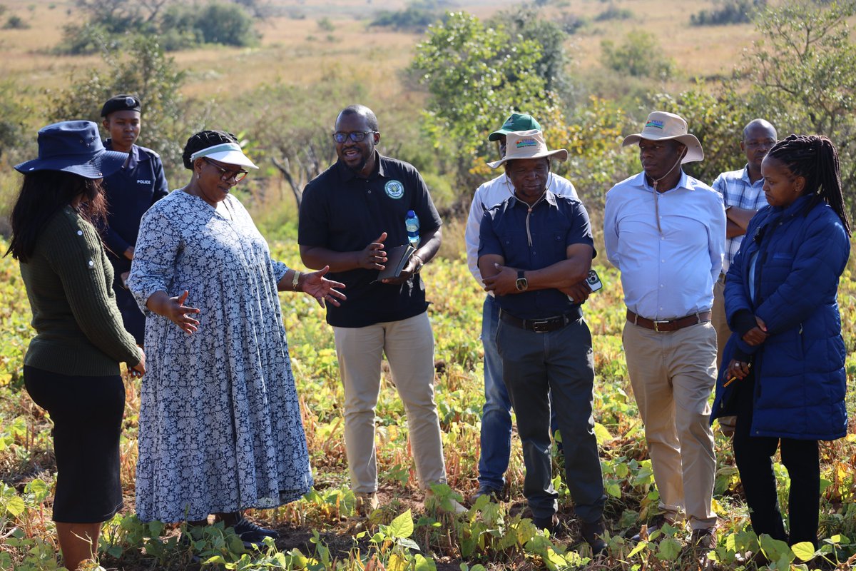 EWADE_SD's tweet photo. Siyambonga EWADE lophume ukhono nesiphanga kwekutsi kuphele indlala emaSwatini.
Today we welcomed DPM Thuli Dladla to Paradise Farm, where 50ha of dry beans were planted under #HambaUbuye with NDMA support as part of 102ha nationwide. 
#EWADE #MakingADifference https://t.co/gBFloaTtQk