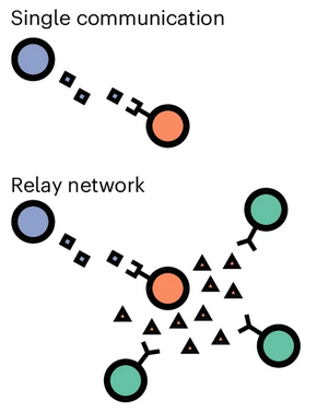 Schwartastic's tweet photo. We are proud to announce the publication of CellNEST, deep-learning detection single cell-cell or even "relay" communication on #SpatialTrascriptomics data at single-spot or #SingleCell!

Paper: https://t.co/JG7HN9uCQU

Code: https://t.co/AoUfMxQ3FY and https://t.co/cKGy1PjLa6 https://t.co/Ad3C5gU5b5