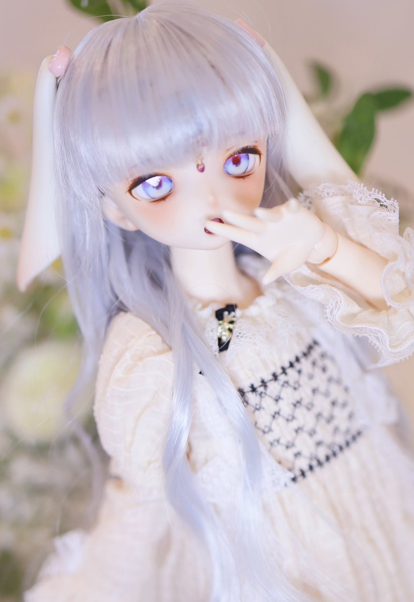DearRabbitWork's tweet image. 오늘도 타임라인에 심어주셔서 감사합니다
bjd 75 70 msd mdd dd ob11 주올로직 왕축생 쿠무쿠쿠 축생 등 많은 사이즈를 다양하게 데리고 있습니다
잘 부탁드립니다
좋은 하루 보내시길 바랍니다