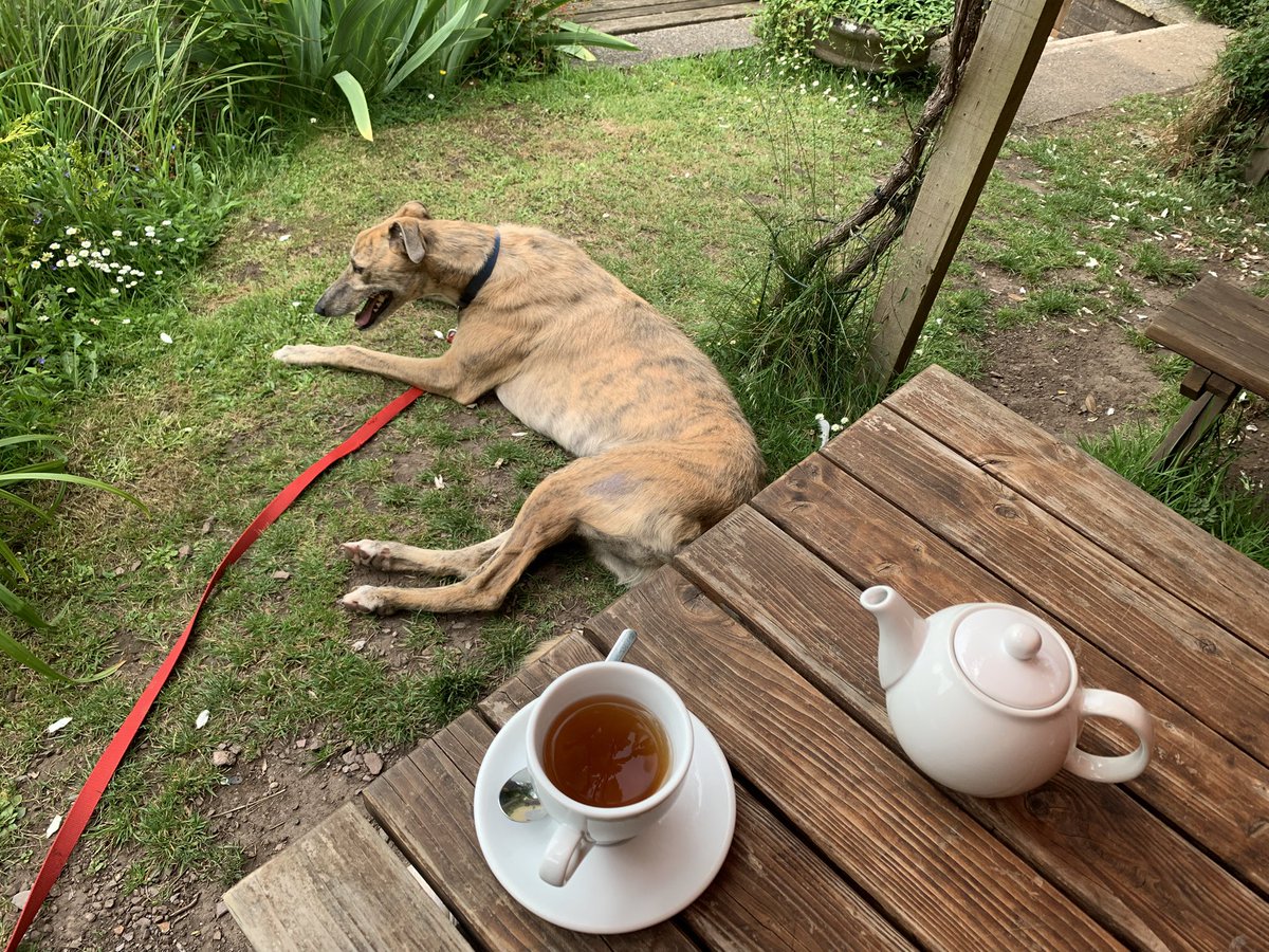 You can’t beat tea at <a href="/PeriwinkleCott1/">Periwinkle Cottage</a> at the end of a walk 🥰