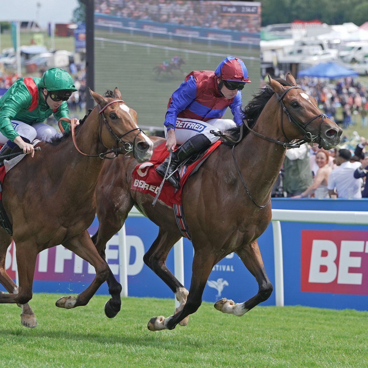 International Thoroughbred (@interthorough) on Twitter photo Jan Brueghel (Galileo-Devoted To You (Danehill Dancer)
Now winner of 5 from 6 | 4x Group race wins, 2x G1 successes
Dam Devoted To You only won her maiden in 11 starts, but achieved a BHA rating high of 104, & was rnr-up 3x in black-type races
Photo: <a href="/deborahburt1/">Debbie Burt</a> Jan Brueghel (Galileo-Devoted To You (Danehill Dancer)
Now winner of 5 from 6 | 4x Group race wins, 2x G1 successes
Dam Devoted To You only won her maiden in 11 starts, but achieved a BHA rating high of 104, & was rnr-up 3x in black-type races
Photo: <a href="/deborahburt1/">Debbie Burt</a>