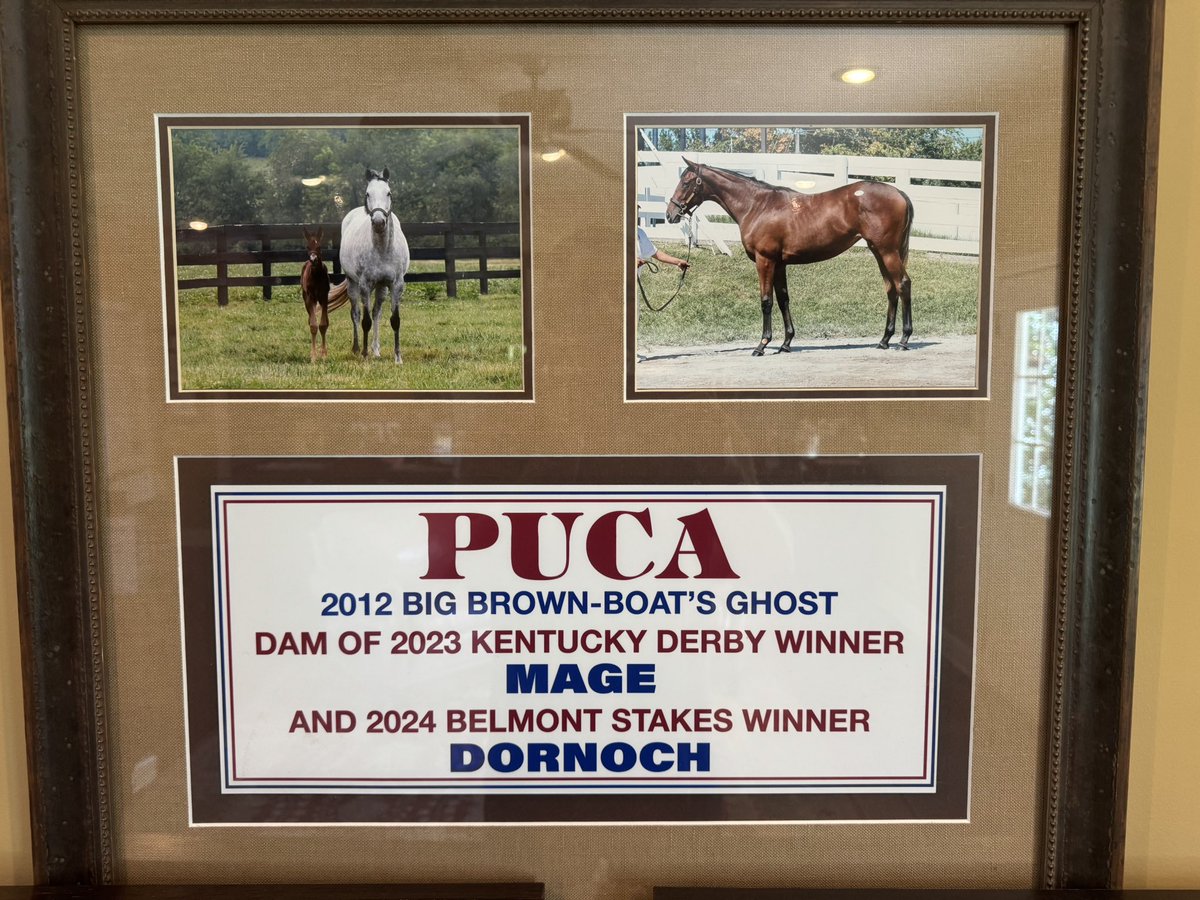 Hopping for an update this weekend! #Baeza #Puca <a href="/resracingky/">Resolute Racing</a> <a href="/KYbreds/">KentuckyBred.com</a>