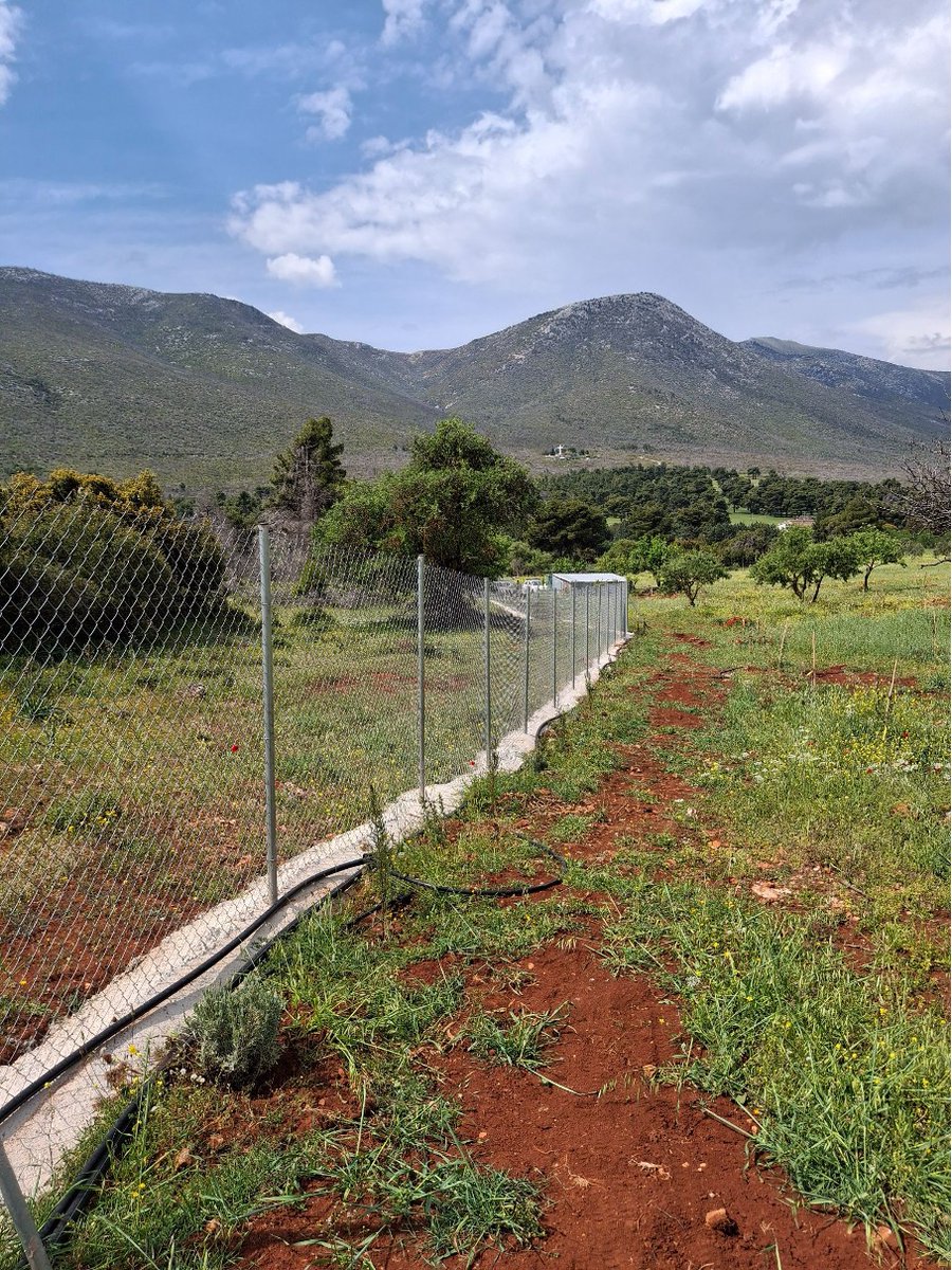 🌿 Field action in Greece!
Last month <a href="/Treedom/">Treedom</a> visited the 🇬🇷 Living Hub for tree geotagging &amp; training with <a href="/ntua/">National Technical University of Athens</a> as part of #INNO4CFIs task.
📍1,197 trees mapped
📚 Training on monitoring + Treedom’s business model
#CarbonFarming #Agroforestry #I3instrument