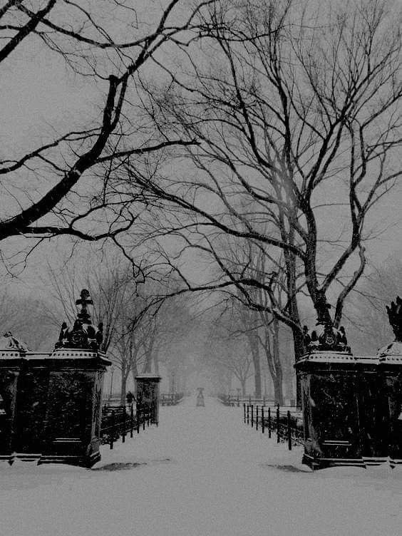 salt (@ancilladominii) on Twitter photo 