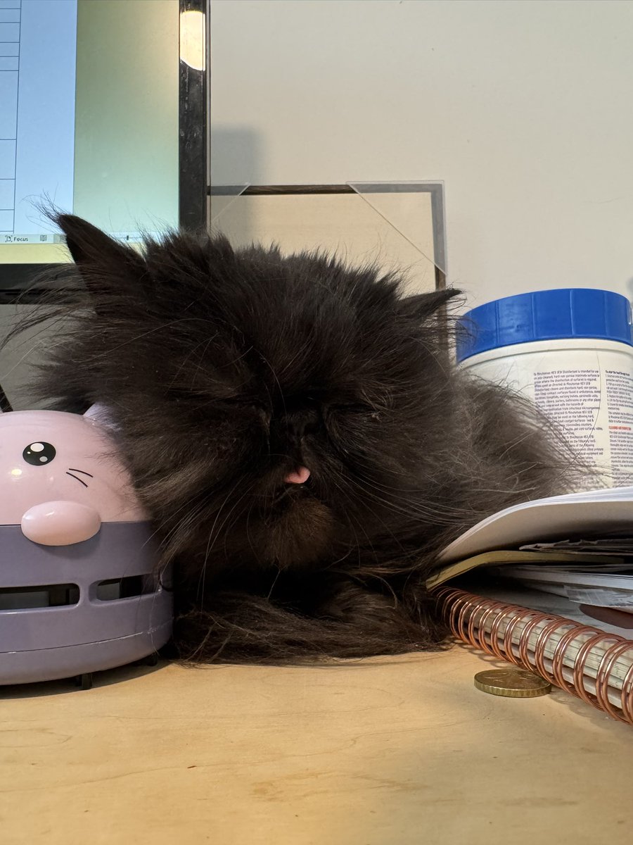 Mi qedé mimida en el trabago con maman 💤