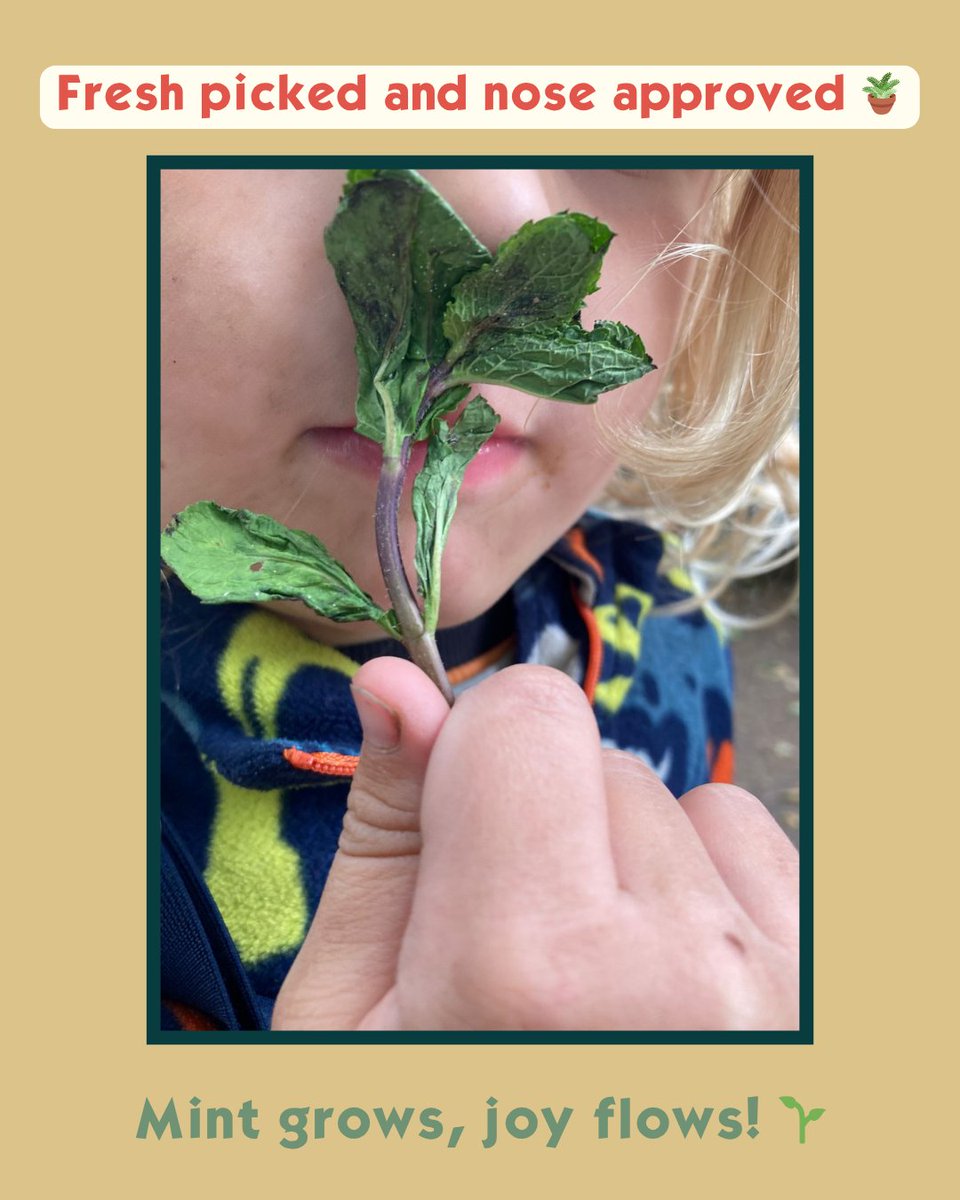 🍓🌱 Life is 'berry' sweet when you grow your own! 🪴
At Little Forest Folk, we don’t just grow plants - we grow experiences. From watering strawberry beds to sniffing sprigs of fresh mint, our little gardeners are hands-on every step of the way ✨