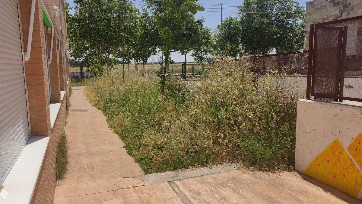 Olvidados

Al <a href="/AytoLeganes/">Ayuntamiento de Leganés</a> se le olvida que el mantenimiento de los coles es su responsabilidad. Nuestros hijos/as conviven con mosquitos e insectos y no es su prioridad. ¿Cuándo se va a asumir?