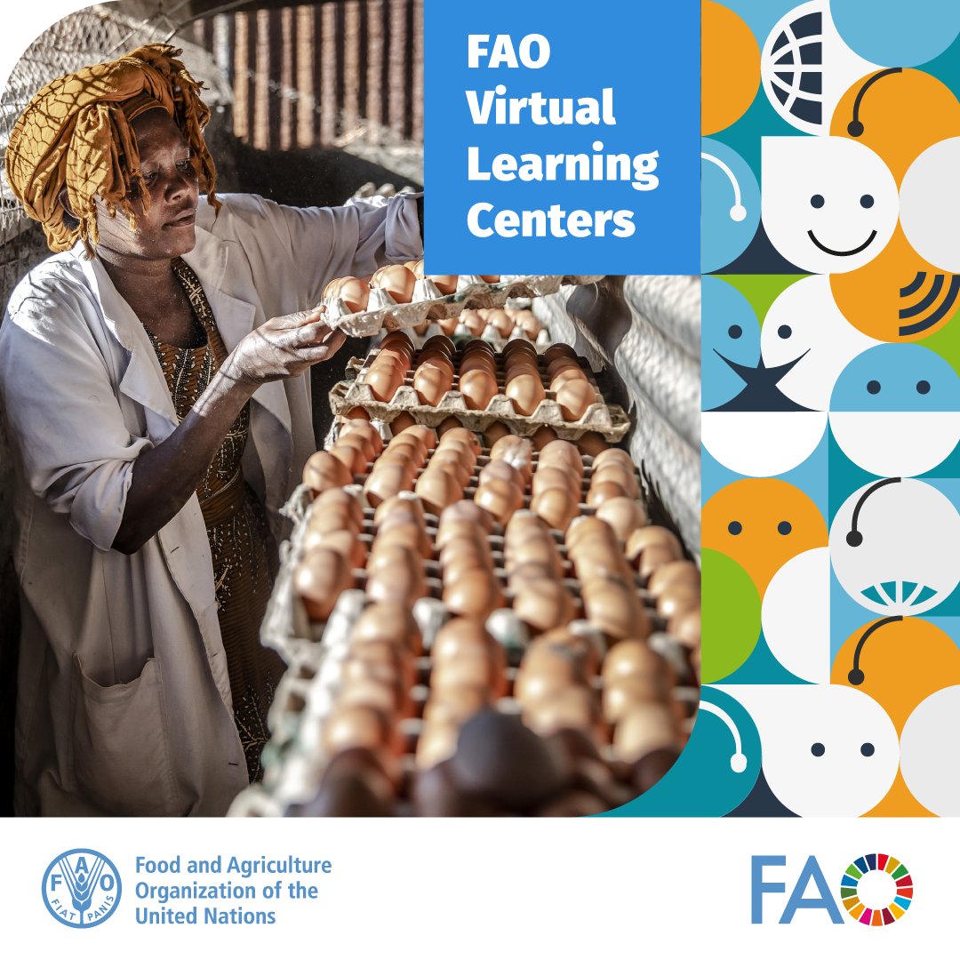 New from <a href="/FAO/">Food and Agriculture Organization</a>: A free, self-paced course on #OneHealth!

Learn how human, animal, plant and environmental health are connected – and why this matters more than ever.

👉 Start now: bit.ly/ohcourse