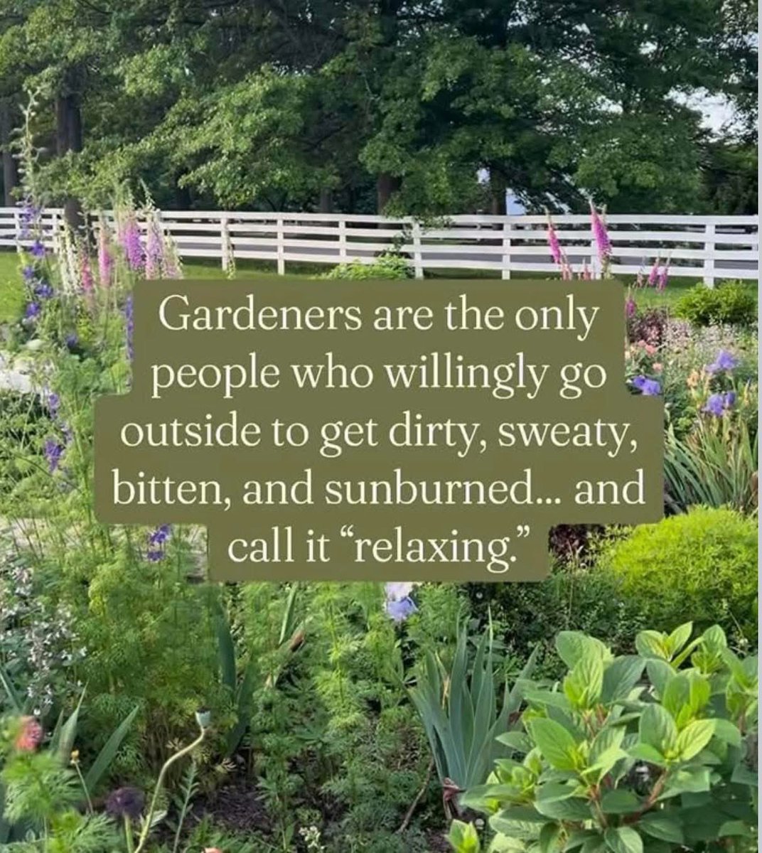 Hope (@hope_proverbs31) on Twitter photo 