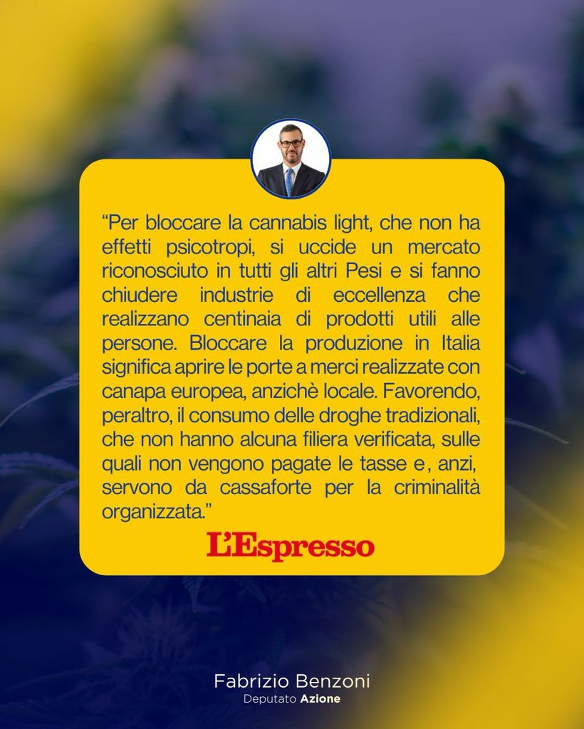 Fabrizio Benzoni (@fabriziobenzoni) on Twitter photo Oggi, su <a href="/espressonline/">L'Espresso</a> , un articolo che smaschera l’operato del Governo sulla #cannabis tramite le storie di chi ci ha investito. Oggi, su <a href="/espressonline/">L'Espresso</a> , un articolo che smaschera l’operato del Governo sulla #cannabis tramite le storie di chi ci ha investito.