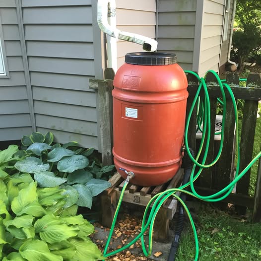 Did you know you can get a rebate of $100 per rain barrel from the City of Ames? Collect rainwater for your garden, save on your water bill, and reduce stormwater runoff! Barrels must be a minimum capacity of 50 gallons. Limit of two barrels.

Learn more: CityofAmes.org/SmartWatersheds