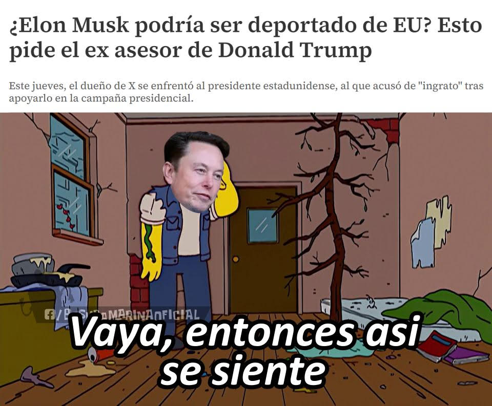 Una hormiga que mira tu post 🐜 (@hormiga_returns) on Twitter photo 