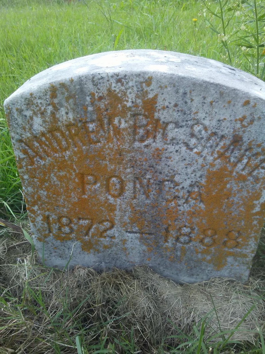 These 4 Ponca children were separated from their families by the US government in 1885 and forced to live at a Native American boarding school where Whites claimed they would be transformed by education into “civilized” humans—instead, they all just died there within 3 years 🇺🇸