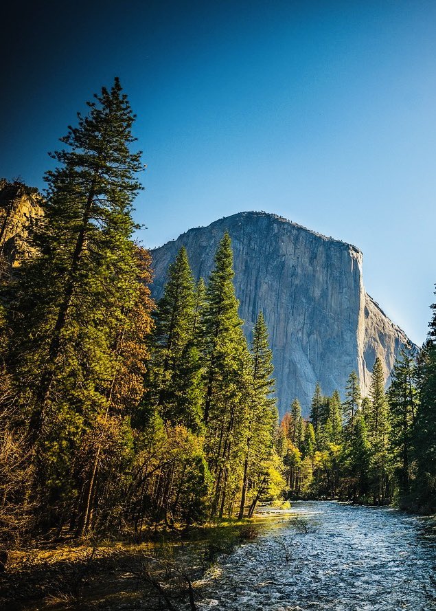 No Wi-Fi, no crowds—Yosemite National Park: Where the best conversations don’t need words—just you and a mountain.🍃🏞️