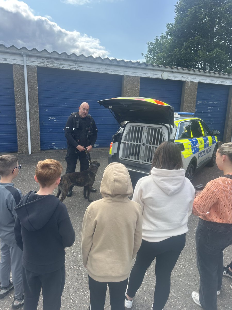 Clued Up tweet media