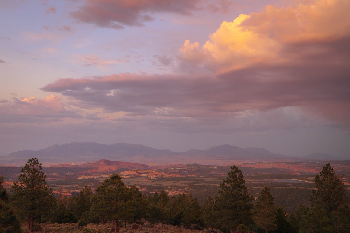 photos that aren’t AI