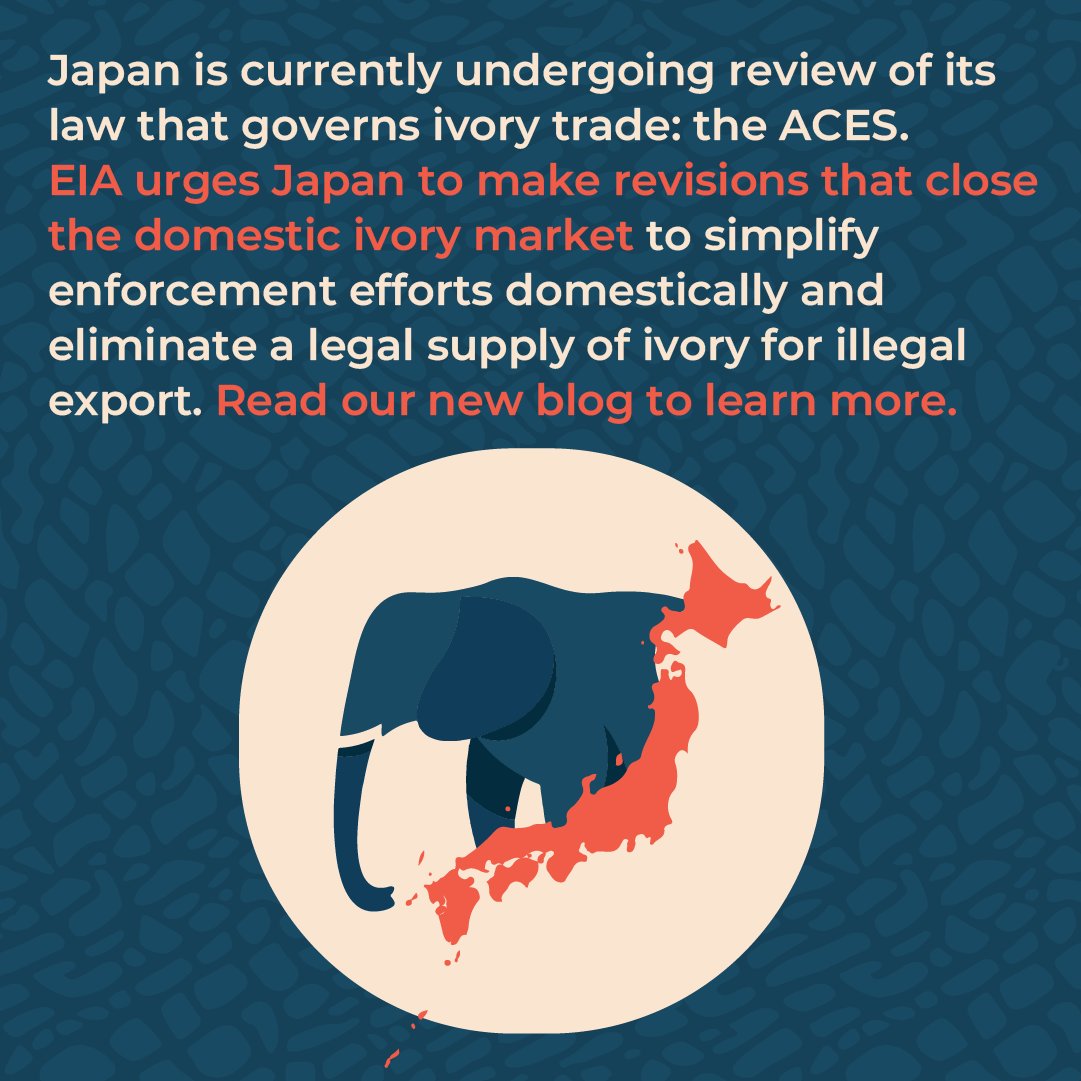 Environmental Investigation Agency U.S. tweet media