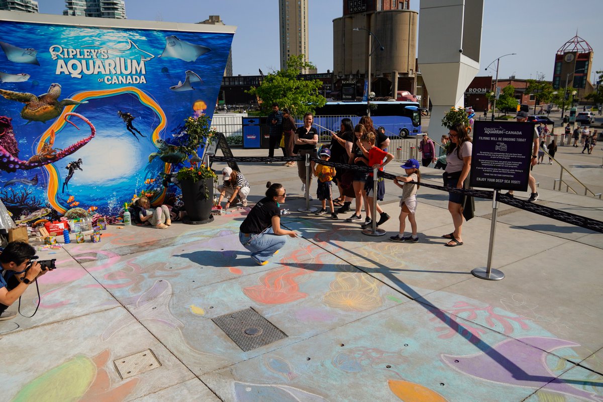 waterdocsff's tweet image. 🌊 This Sunday is World Ocean Day! How will you celebrate? 🌊 
 
Find an event near you by exploring the Ocean Week Canada events page: lnkd.in/eDjUBy25 Enjoy amazing activations like this chalk mural at @RipleysAquaCA.

#WorldOceanDay #OceanWeekCanada #ProtectOurOceans