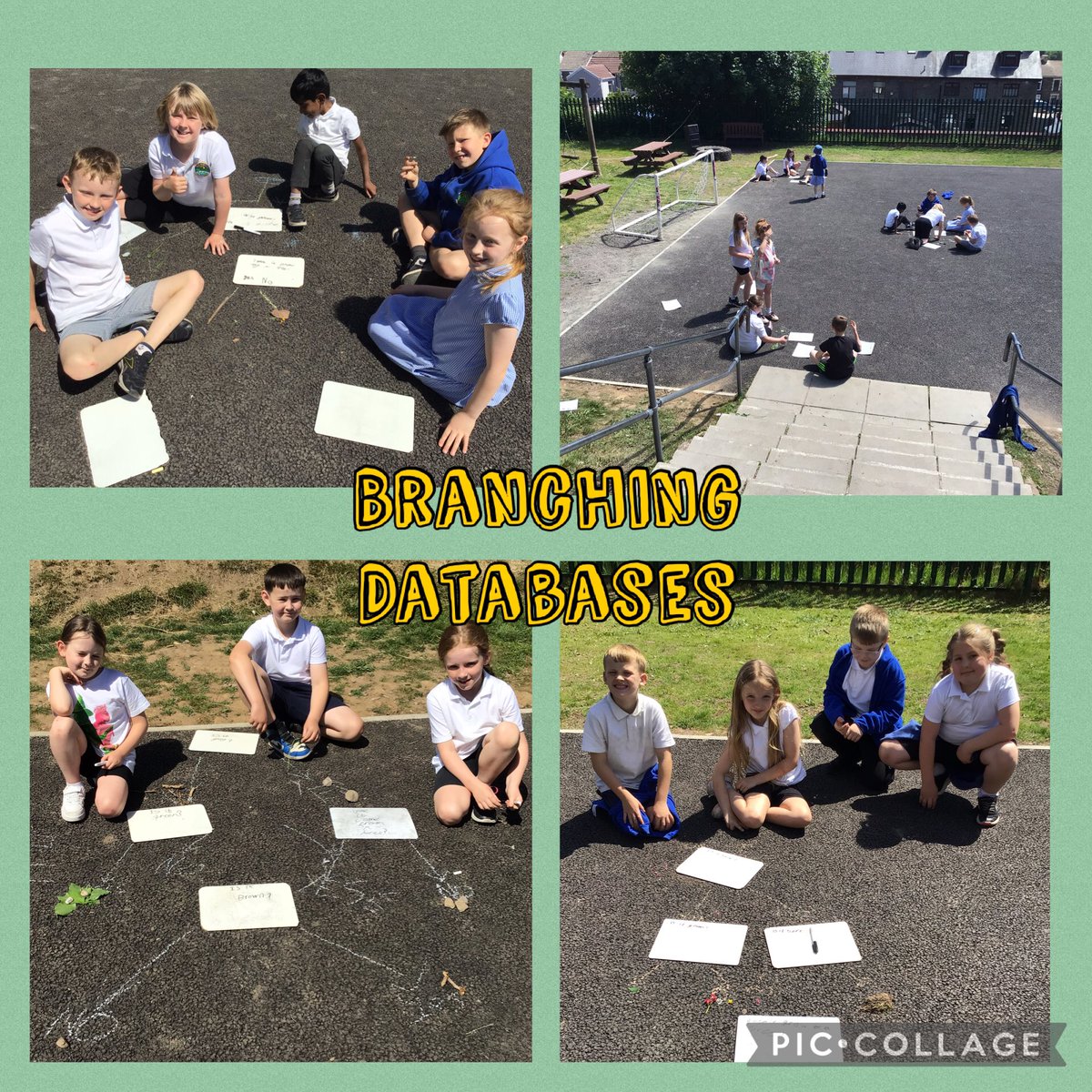 The children have enjoyed classifying materials this week using branching databases 🙂