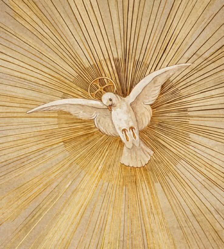 cofradiavaquero's tweet image. SOLEMNIDAD DE PENTECOSTÉS
Sábado 7 de Junio: 20,30h.
Domingo 8 de Junio: 10,30h y 12,00h
Parroquia de Santiago el Mayor.
Cáceres.