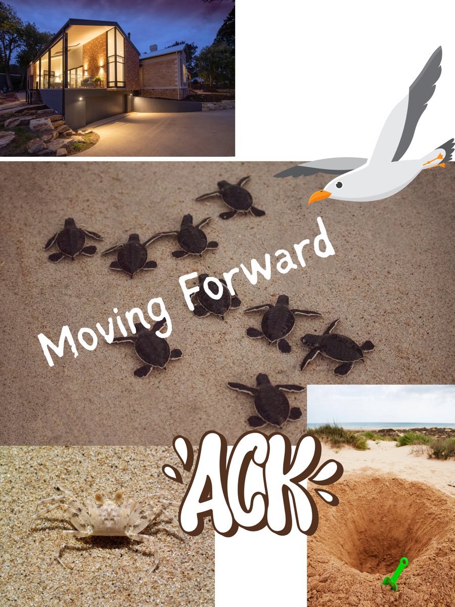 A tiny sea turtle emerges from her nest, 
Battling sunlight, sand, seagulls and strangers in order to keep moving FORWARD to a life in the sea #JoyPit #STEM #PB #NF