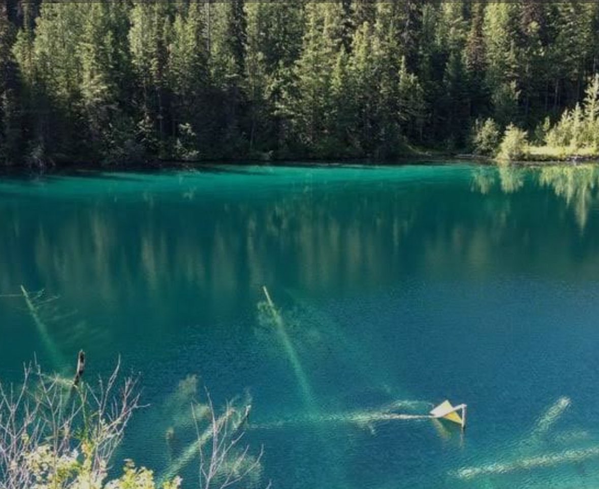 A little slice of paradise #TurquoiseLake #Clear #SustainableLiving #OffGrid