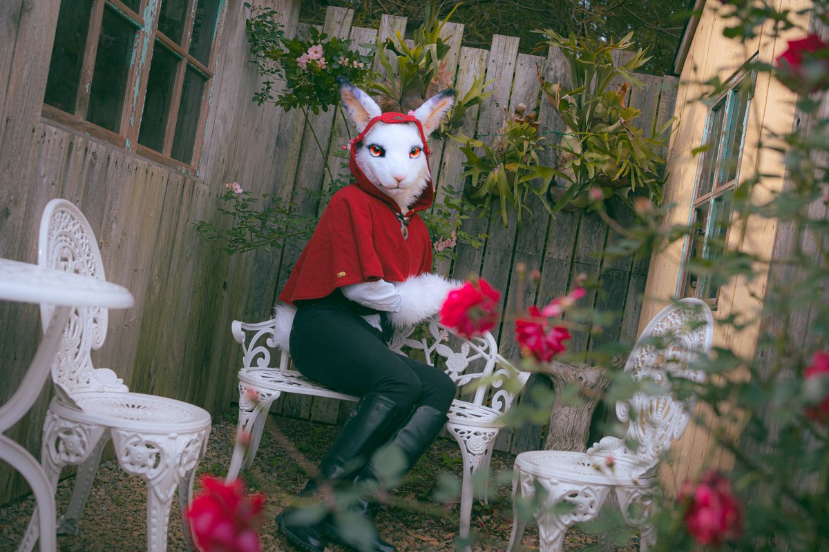 🐰

📸<a href="/goat83262/">Yangi🔜UTFG</a>
#FursuitFriday