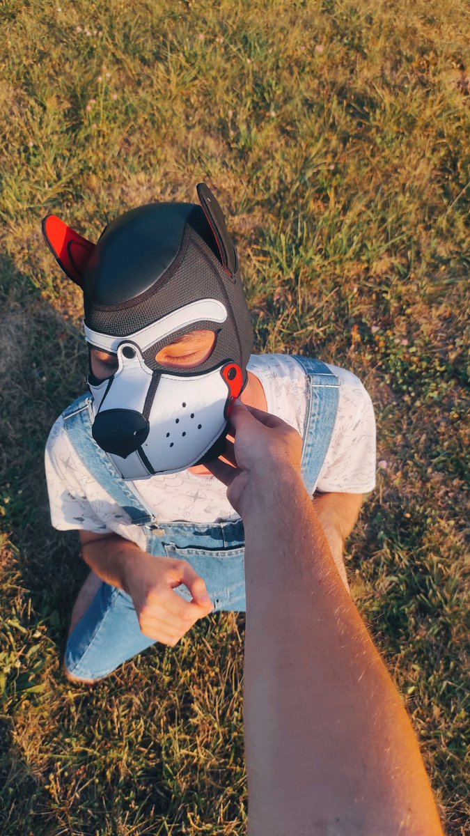 INik (@pup_inik) on Twitter photo It's so nice to feel the warmth of your hand π
#fetish #gearhead #k9 #kinks #kinkster #pup #puppyplay #summer It's so nice to feel the warmth of your hand π
#fetish #gearhead #k9 #kinks #kinkster #pup #puppyplay #summer