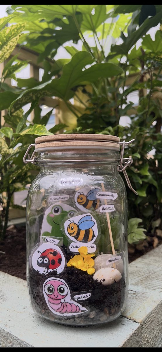 Year 12 biologists getting creative learning about ecological terms and their role as a ‘population’ within the kings ‘community’