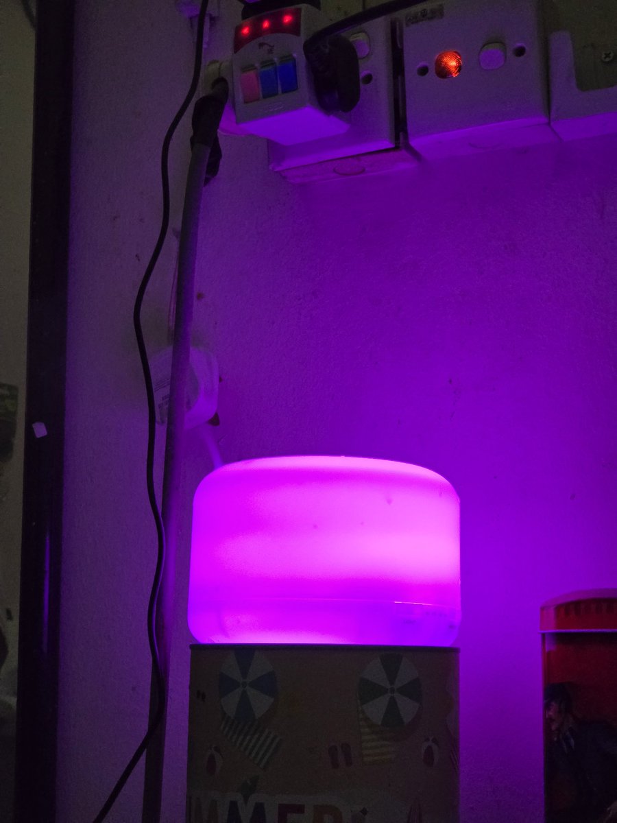 Miss u so much mak, mlm ni abg guna purifier mak sbb terlalu rindukn mak 🥲