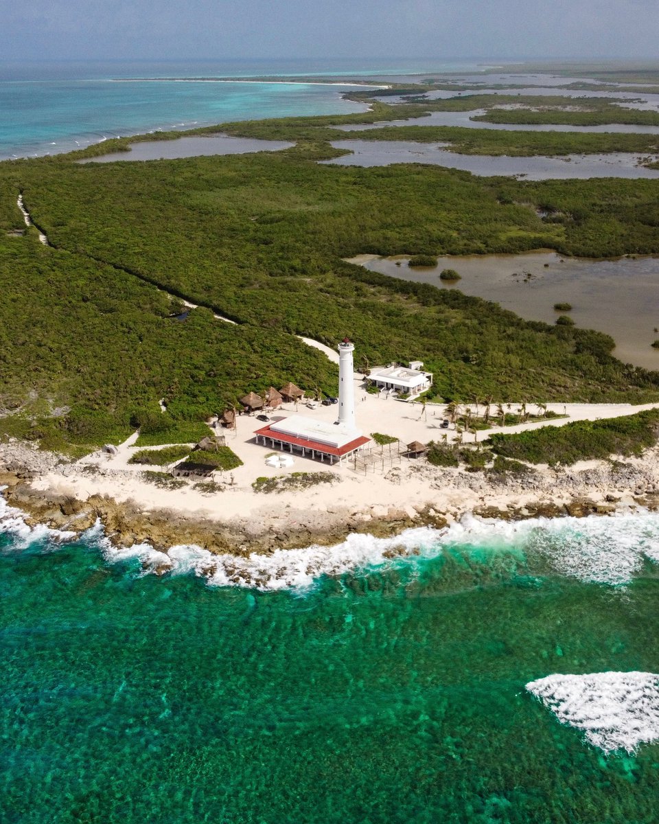 Si eres un amante de la naturaleza, Punta Sur es tu lugar. 🌊
Con sus playas turquesas de arena blanca, senderos ecológicos y una biodiversidad única, este rincón de #Cozumel es pura magia. ¡Tienes que visitarnos y vivirlo!

#CaribeMexicano #Vacaciones