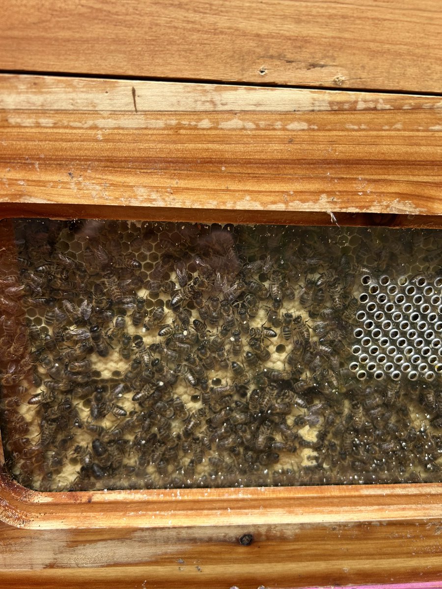 Friends of Hartwood Paupers Cemetery tweet media