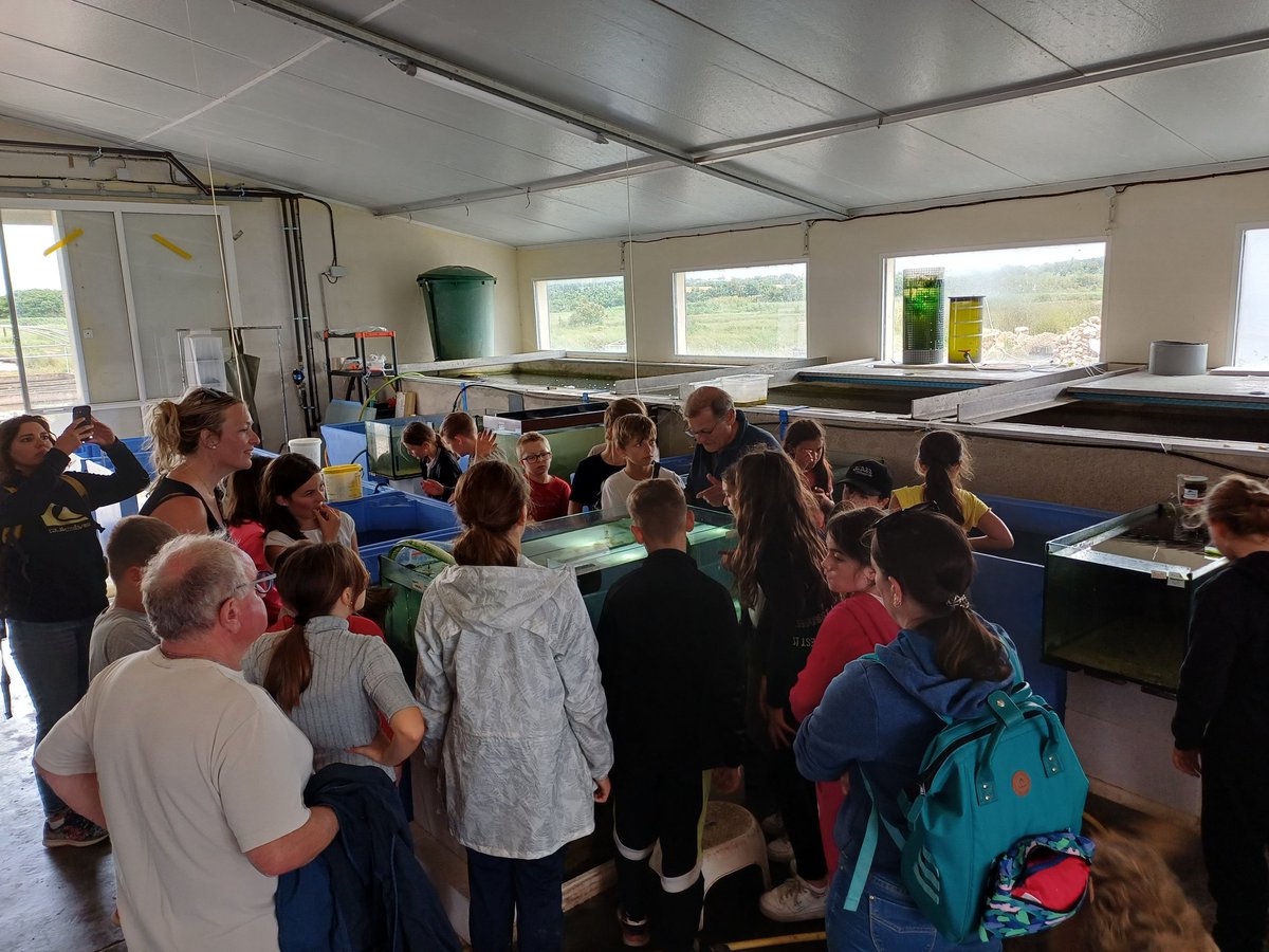 ecolecharron_17 (@ecolecharron) on Twitter photo Très belle journée pour les CM2 : Sortie vélo à Esnandes pour découvrir l'AME des camarades de l'école du chemin blanc en leur compagnie, visite de l'atelier de Catherine Bricard (Projet Art marine), et visite de l'élevage d'hippocampes <a href="/pmaraispoitevin/">Parc naturel régional du Marais poitevin</a> <a href="/daacpoitiers/">Daac de Poitiers</a> <a href="/17Sciences/">Sciences & EDD 17</a> Très belle journée pour les CM2 : Sortie vélo à Esnandes pour découvrir l'AME des camarades de l'école du chemin blanc en leur compagnie, visite de l'atelier de Catherine Bricard (Projet Art marine), et visite de l'élevage d'hippocampes <a href="/pmaraispoitevin/">Parc naturel régional du Marais poitevin</a> <a href="/daacpoitiers/">Daac de Poitiers</a> <a href="/17Sciences/">Sciences & EDD 17</a>