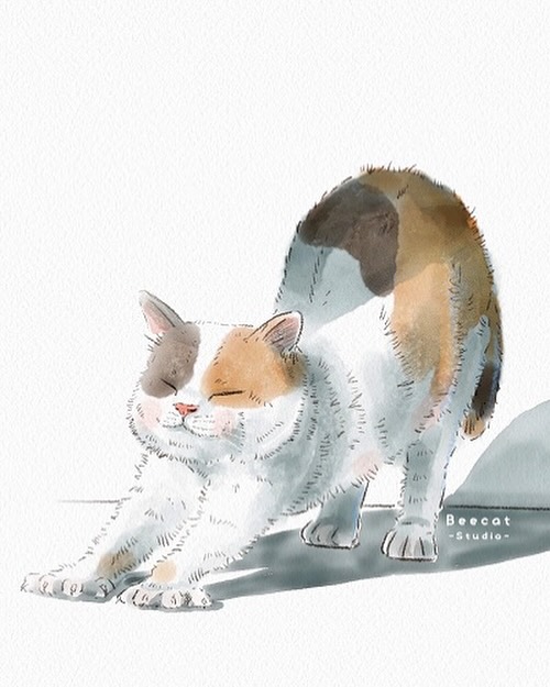 แมวไม่เคยนับวันข้างหน้า 
ไม่คิดถึงพรุ่งนี้ หรือวานนี้ 
. 
มันแค่หลับอย่างเต็มตา ยืดเส้นยืดสายกับแดดเช้านี้
. 
แล้วก็ใช้วันนี้…ให้คุ้มที่สุด 
. 
เพราะจริงๆ แล้ว ”วันนี้“ คือ หน่วยของเวลาที่เรามีอยู่จริงๆ 
. 
แมวรู้ — ส่วนเรา แค่ลืมไปบ้างเท่านั้นเอง 🥰