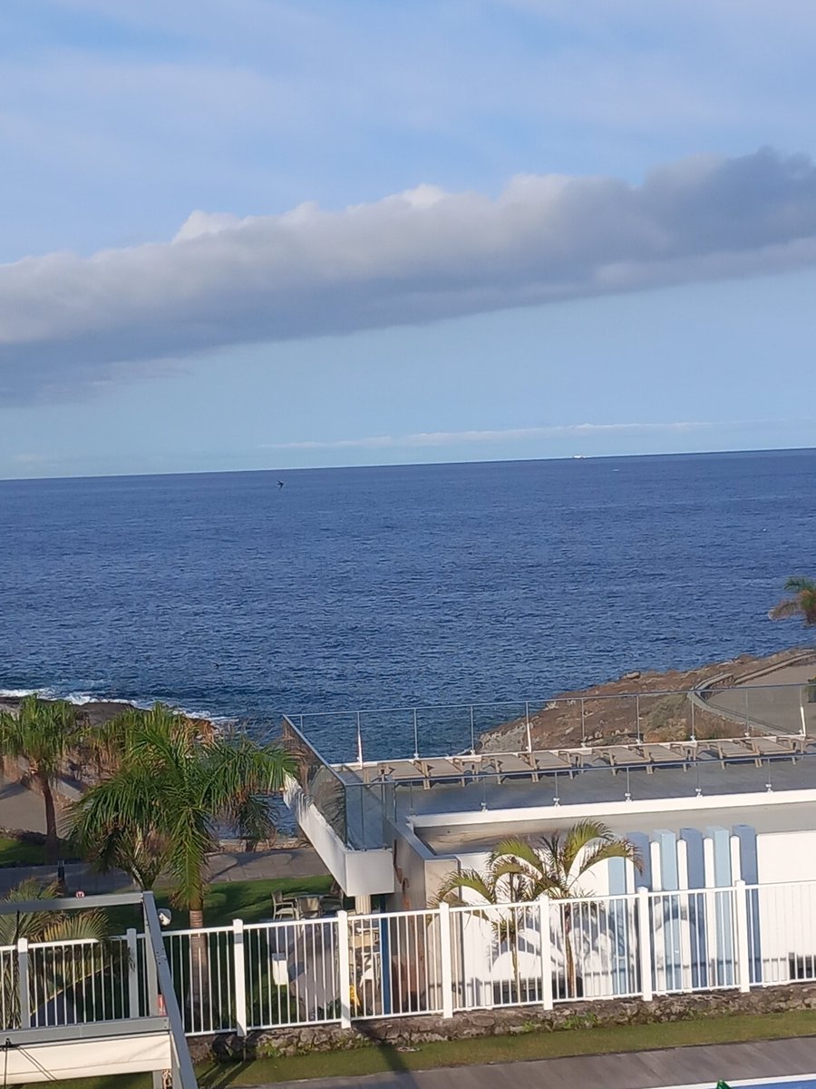 Fantastic Friday feelings in the sunshine 🌞 ☀️ 💛 ✨️ #Tenerife