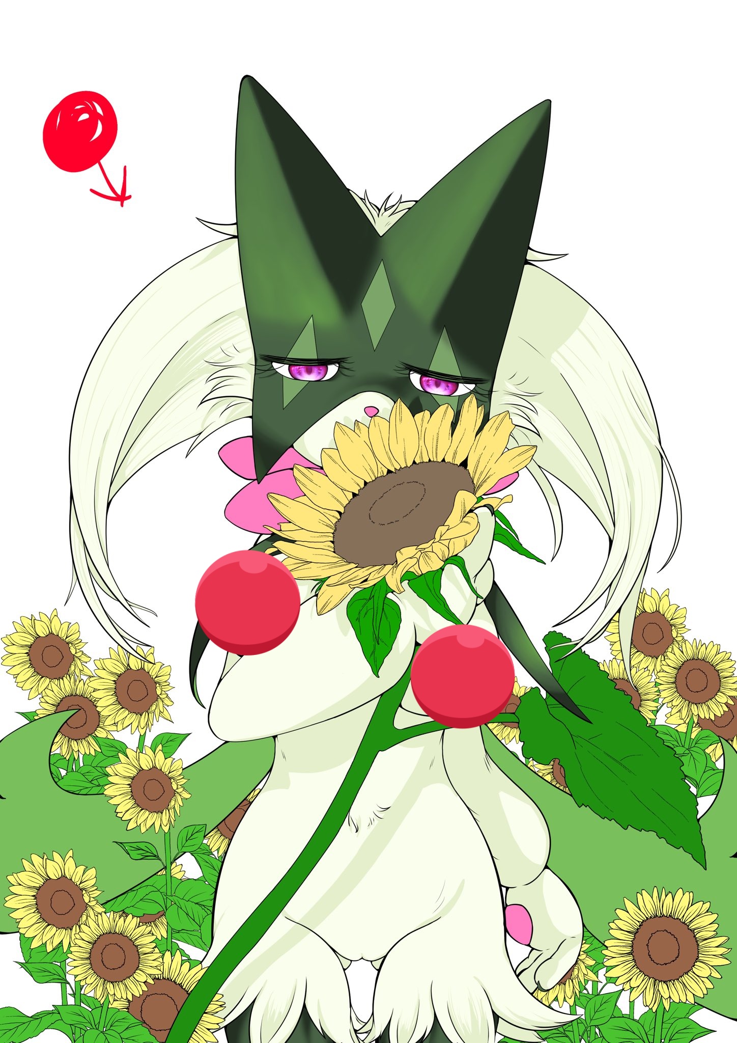 ひかぽん　6月13日期日 81wQ8QxBnmL._UF350,350_QL80_.jpg