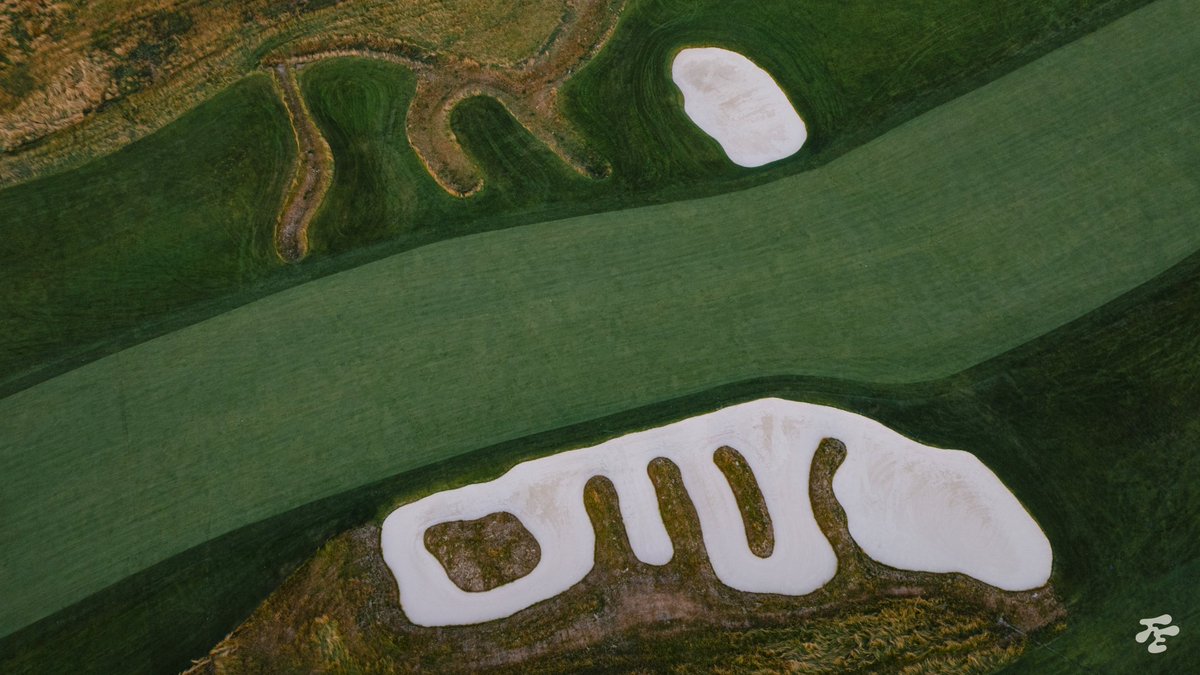 Fried Egg Golf tweet media