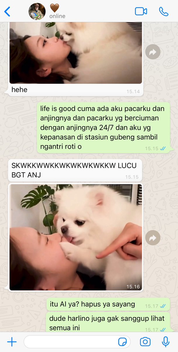 gyuswrite's tweet image. the chronicles of dating a certified dog kisser #stevanna