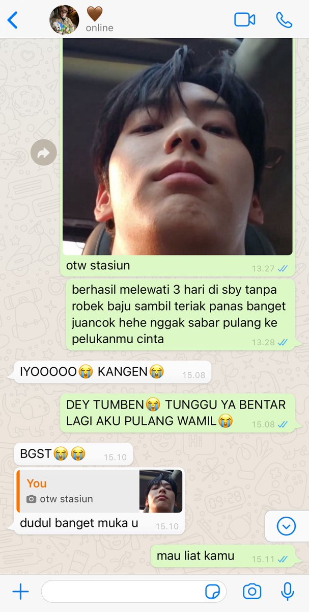 gyuswrite's tweet image. the chronicles of dating a certified dog kisser #stevanna