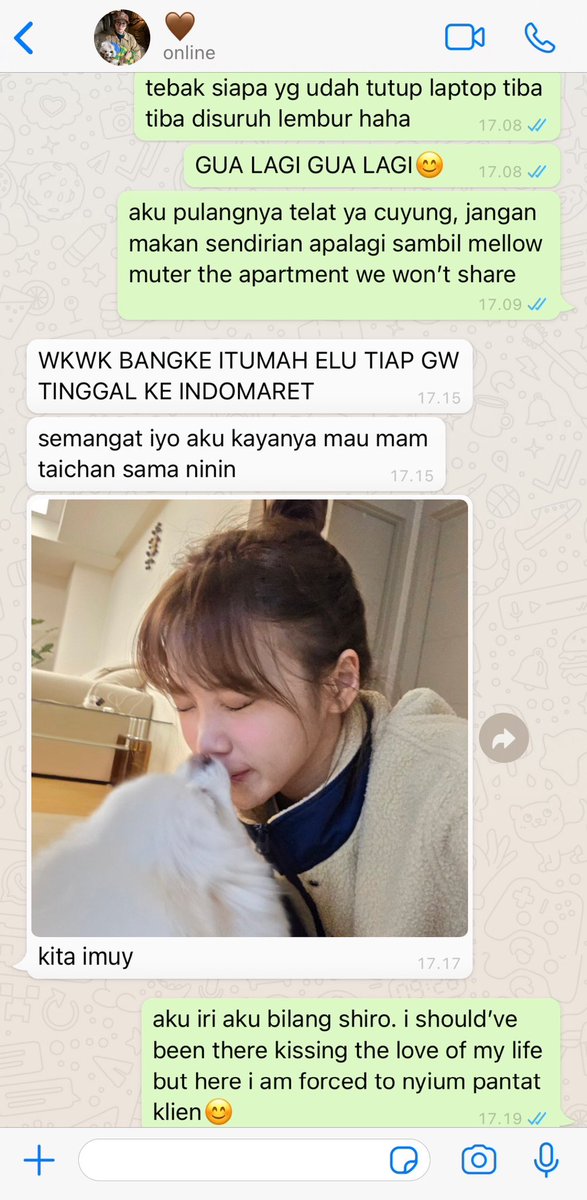 gyuswrite's tweet image. the chronicles of dating a certified dog kisser #stevanna