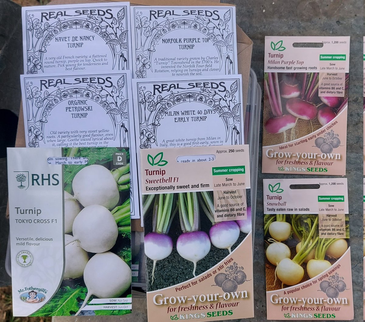 Harvest day for the turnips. Greens with garlic for dinner tonight (along with Swift potatoes). The turnips will be sliced &amp; pickled in a sweet 'brine' of apple cider vinegar, a little brown sugar, garlic, peppercorns, bayleaf to eat with summer salad. More turnips being sown now